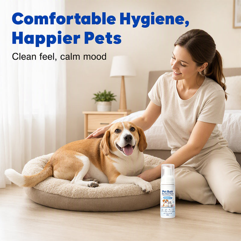 🔥 2+1 GRATIS!!🧼Trockenreinigungsschaum für den Po von Hunden und Katzen – kein Abspülen erforderlich