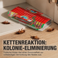 ⏳💥 50% RABATT! 🏠 5 Stück Professionelle Kakerlakenfalle – Ungiftig & effektiv ✨