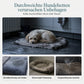 🐾 50% Rabatt – Abnehmbares ovales Haustierbett aus Polar-Fleece und Oxford-Stoff mit feuchtigkeitsabweisender, rutschfester Unterseite und Schwammkissen für Hunde und Katzen