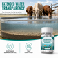 💧Wasserreinigungstabletten für die Haltung von Tank- und Teichwasser